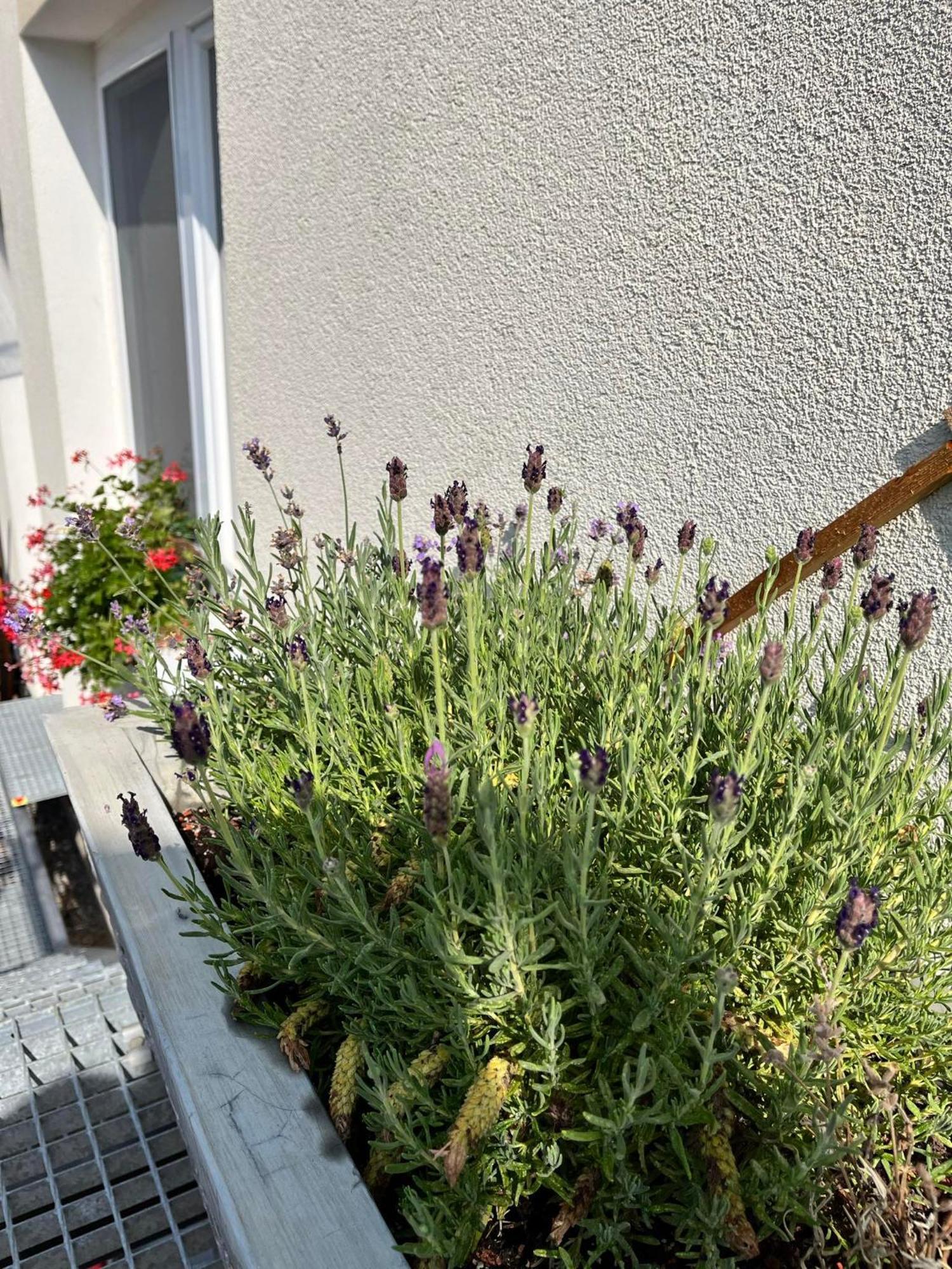 P&P Apartmany Bojnice Exterior photo
